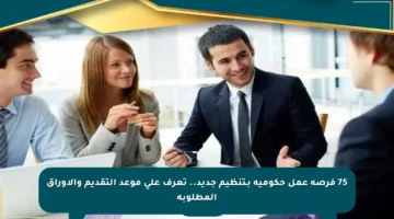 75 فرصة عمل حكومية بـتنظيم جديد.. تعرف على موعد التقديم والأوراق المطلوبة